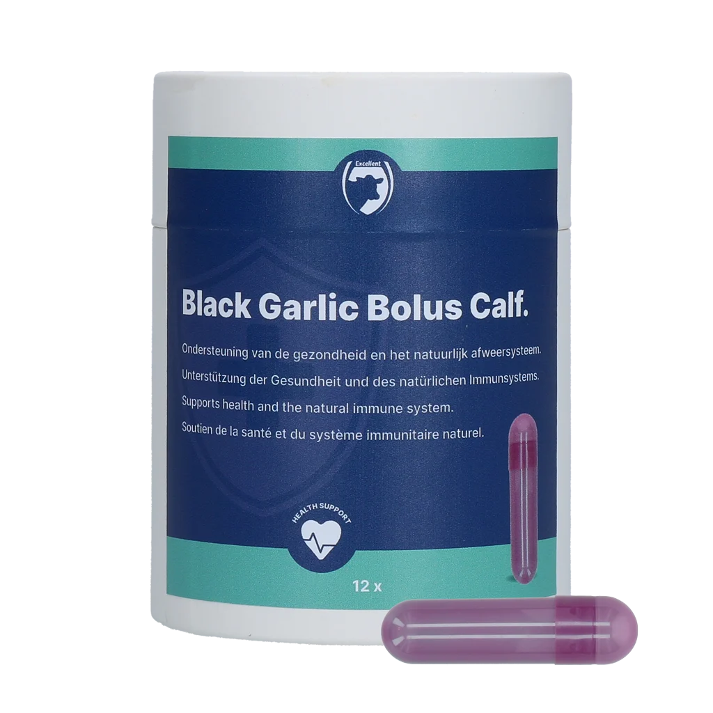 Bolo all’aglio per vitelli con ginseng e cicoria – Excellent Black Garlic Bolus Kalf - immagine 1