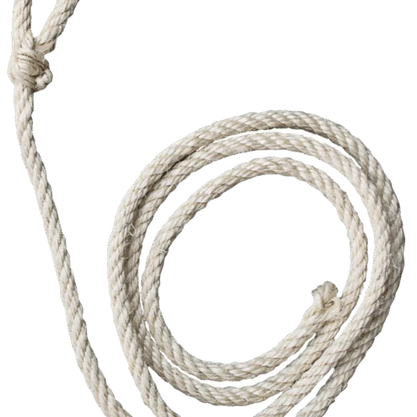 Corda per bovini in sisal bianco, lunga 210 cm e spessa circa 10 mm