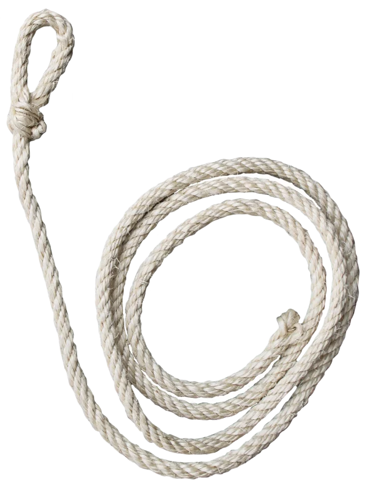 Corda per bovini in sisal bianco, lunga 210 cm e spessa circa 10 mm - immagine 1