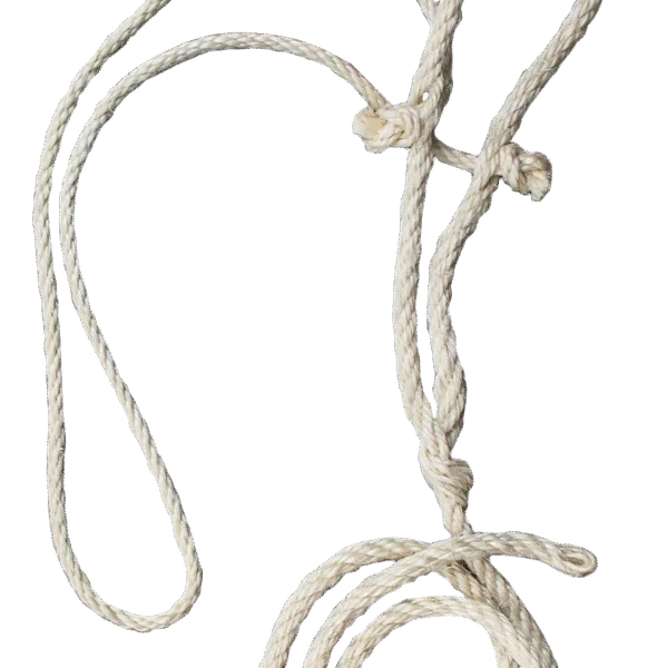 Capezza per bovini in sisal con corda nucale sottile, 200 cm