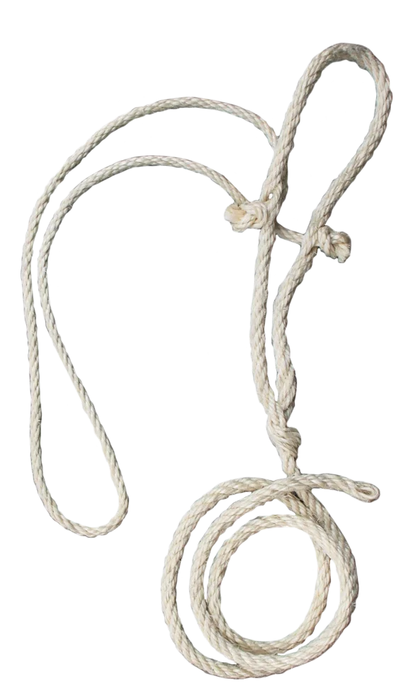Capezza per bovini in sisal con corda nucale sottile, 200 cm - immagine 1