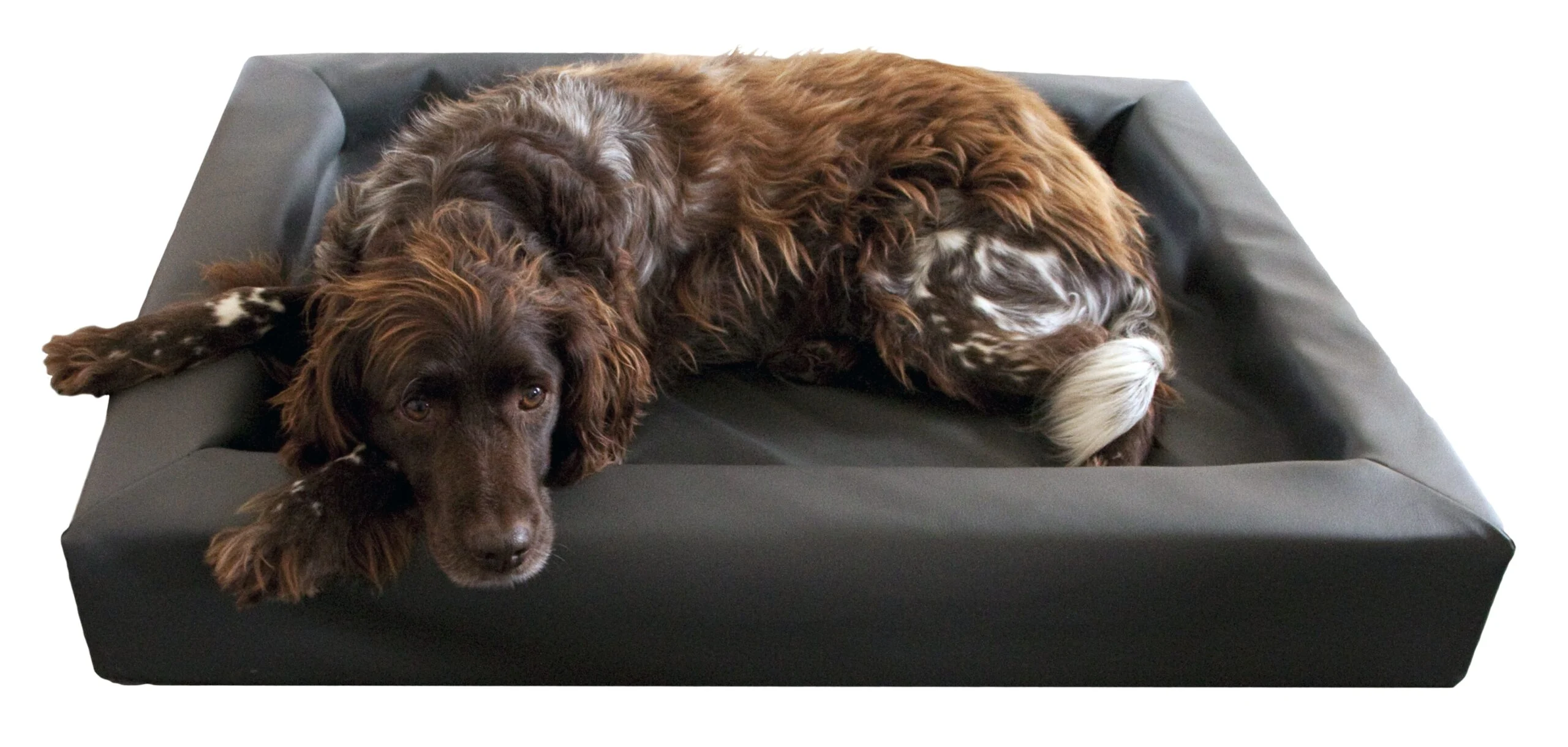 Cuccia lounge per cani in similpelle con bordo rialzato S, 50 x 60 cm - immagine 2