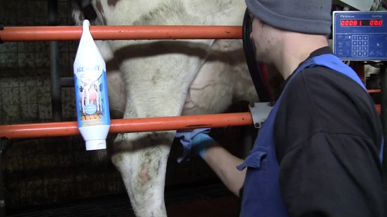 Gel per mammella con olio di menta piperita, 2,5 l – Vet Animal Care Ice Mint - immagine 2