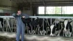 Boli di magnesio per bovini, 4 x 180 g – Excellent - immagine 2