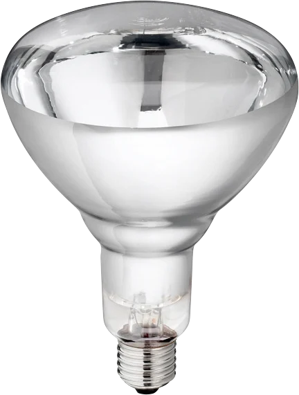 Lampada riscaldante in vetro duro per animali giovani, 150 W, bianca - immagine 1