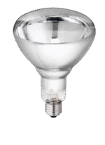 Lampada riscaldante in vetro duro per animali giovani, 250 W, bianca