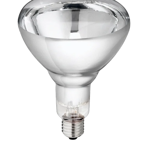 Lampada riscaldante in vetro duro per animali giovani, 250 W, bianca