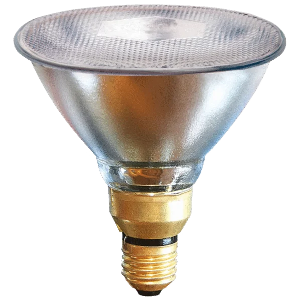 Lampada a risparmio energetico 100 W bianca