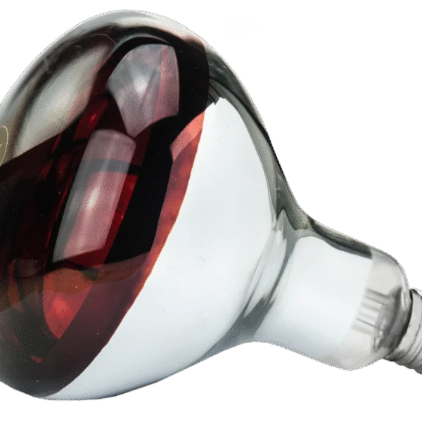 Lampada riscaldante in vetro duro per animali giovani, 250 W rossa