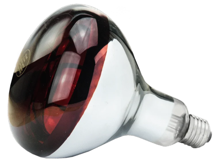 Lampada riscaldante in vetro duro per animali giovani, 250 W rossa