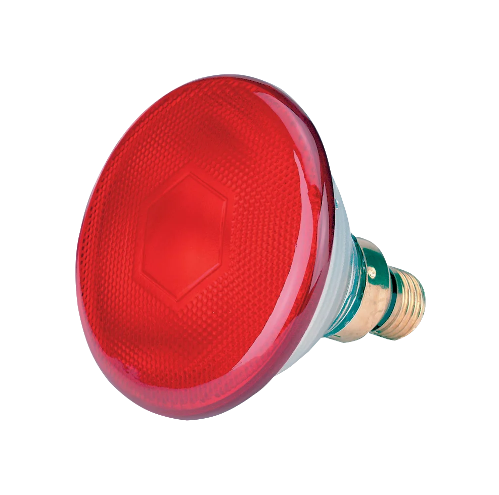 Lampadina a risparmio energetico 100 W rossa - immagine 1