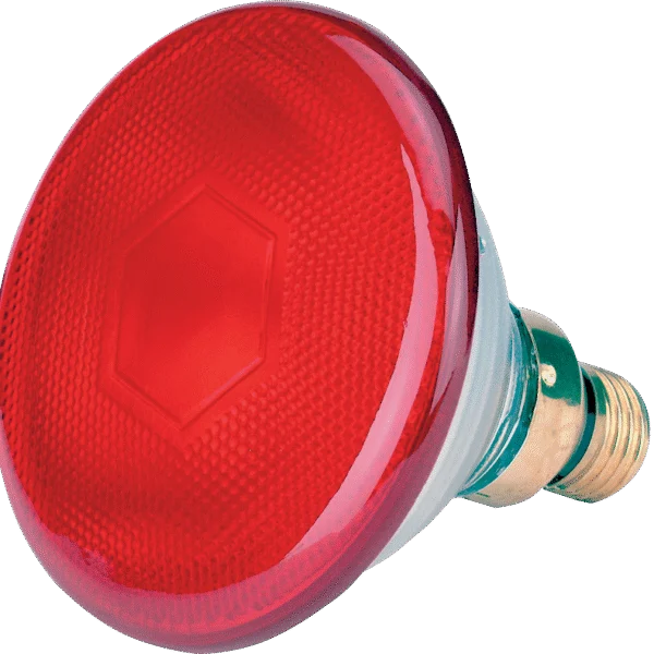 Lampadina a risparmio energetico rossa 175 W