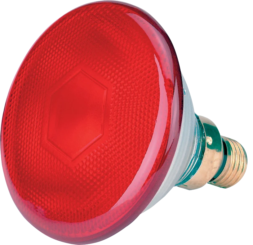 Lampadina a risparmio energetico rossa 175 W - immagine 1