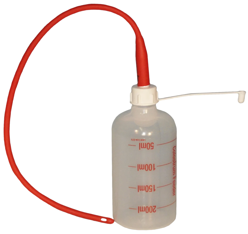 Sonda per agnelli di 40 cm con bottiglia da 250 ml - immagine 1