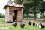 Blocco da beccare per galline ovaiole in fieno di prato, 3,5 kg – LAX Tierfutter - immagine 5