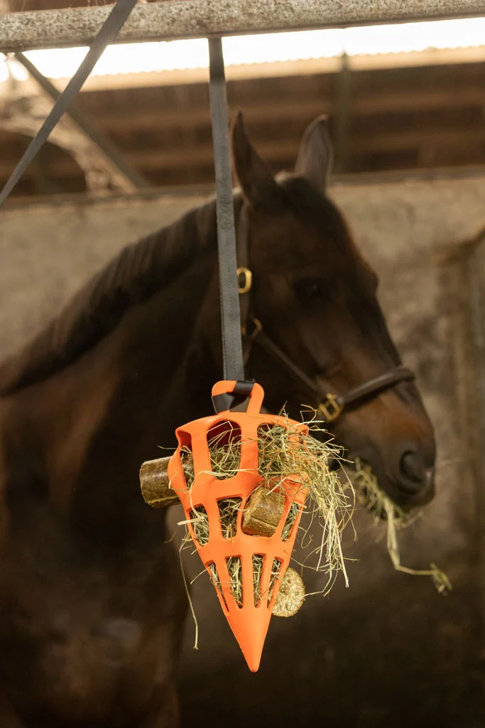 Blocco da sgranocchiare per cavalli con fieno di prato, 4 pezzi – LAX Tierfutter blocco da sgranocchiare di fieno di prato - immagine 3