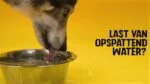 Ciotola per Cani in Silicone per Cibo e Acqua con Bordo Antisversamento, 300 ml Blu – Excellent Pets No-Spill Bowl - immagine 4