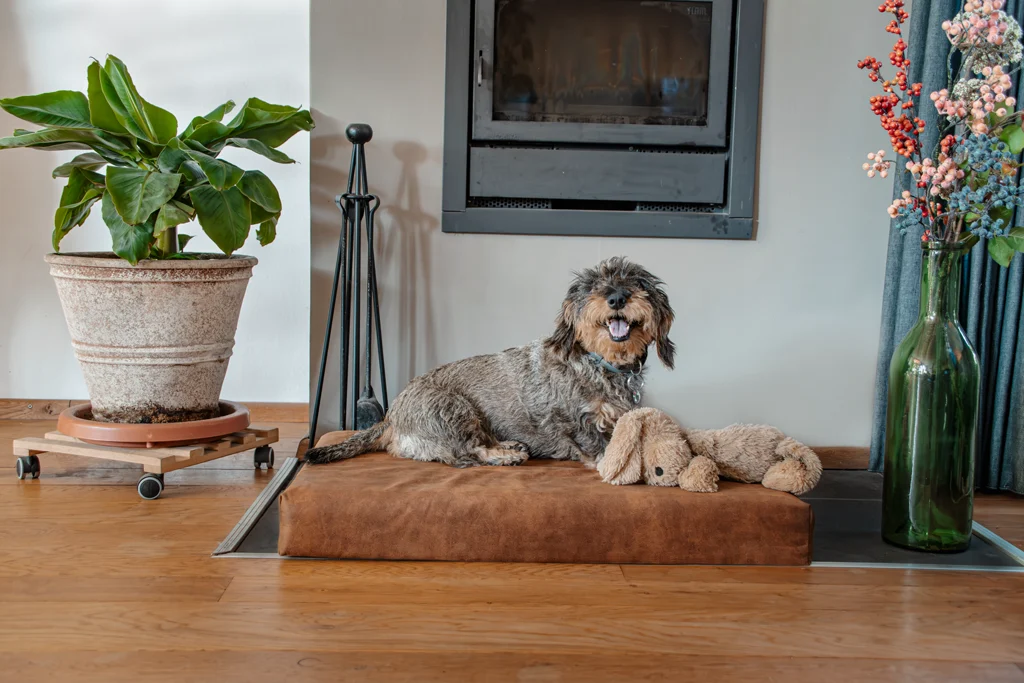 Cuccia ortopedica per cani in memory foam, tortora XL, 125 x 90 x 10 cm – Let's Sleep Mellow Mattress - immagine 2