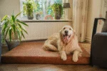 Cuscino ortopedico per cani in memory foam, cognac XL, 125 x 90 x 10 cm – Let's Sleep Mellow Mattress - immagine 3