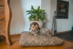 Cuscino per cani con fiocchi di schiuma XL cognac, 125 x 90 x 10 cm – Let's Sleep Plush Pillow - immagine 2