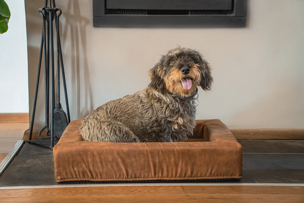 Cuscino per cani con bordo rialzato color cognac, 60 x 50 x 12 cm – Let's Sleep Comfy Cushion M - immagine 2