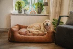 Cuccia per cani con cuscino estraibile L cognac – Let's Sleep Sweet Dreams - immagine 2