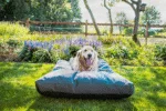 Cuscino per cani da esterno con rivestimento idrorepellente, antracite XL, 125 x 90 x 10 cm – Let's Sleep Cushy Cloud - immagine 2