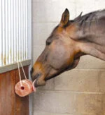 Pietra da leccare di sale dell’Himalaya per cavalli con corda, 2 a 3 kg – Excellent Horse Salt Lick Himalaya - immagine 2