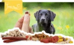 Palline per l'addestramento dei cani al salmone, senza cereali, 500 g – Palline al salmone Luna's Choice Trainer Mix - immagine 3