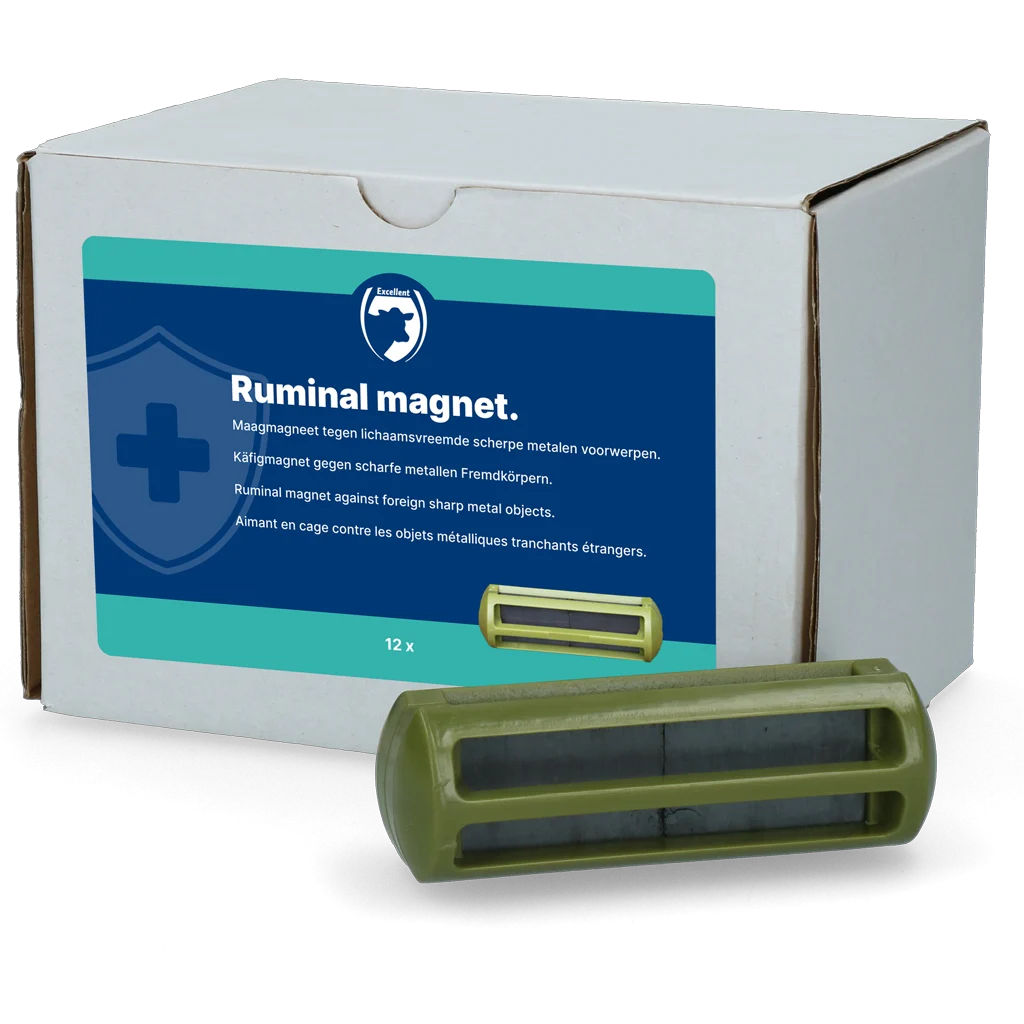 Magneti ruminali per bovini, 12 pezzi – Excellent - immagine 1
