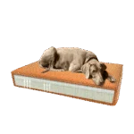 Cuscino ortopedico per cani con schiuma memory arancione S, 45 x 55 x 12 cm – Cuscino ortopedico in velluto Madison
