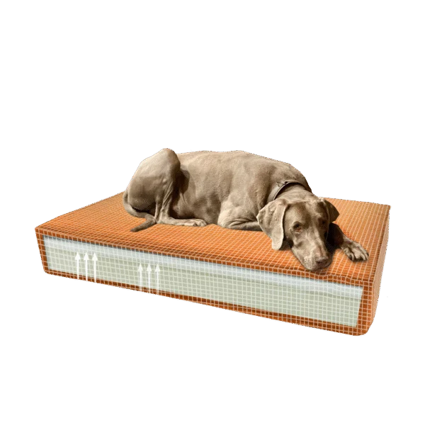 Cuscino ortopedico per cani con schiuma memory arancione S, 45 x 55 x 12 cm – Cuscino ortopedico in velluto Madison