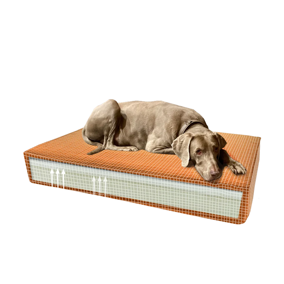 Cuscino ortopedico per cani con schiuma memory arancione S, 45 x 55 x 12 cm – Cuscino ortopedico in velluto Madison - immagine 1