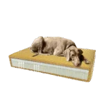 Cuscino ortopedico per cani con schiuma memory giallo S, 45 x 55 x 12 cm – Cuscino ortopedico in velluto Madison - immagine 2