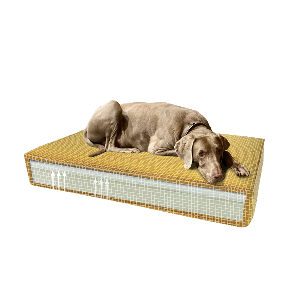 Cuscino ortopedico per cani con schiuma memory giallo S, 45 x 55 x 12 cm – Cuscino ortopedico in velluto Madison - immagine 2