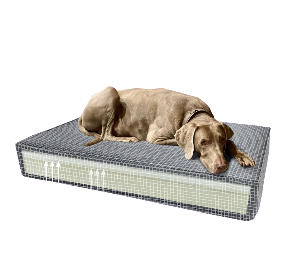 Cuscino ortopedico per cani con schiuma memory giallo S, 45 x 55 x 12 cm – Cuscino ortopedico in velluto Madison - immagine 6