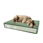 Cuscino ortopedico per cani con memory foam verde S, 45 x 55 x 12 cm – Cuscino ortopedico Madison in velluto - immagine 4