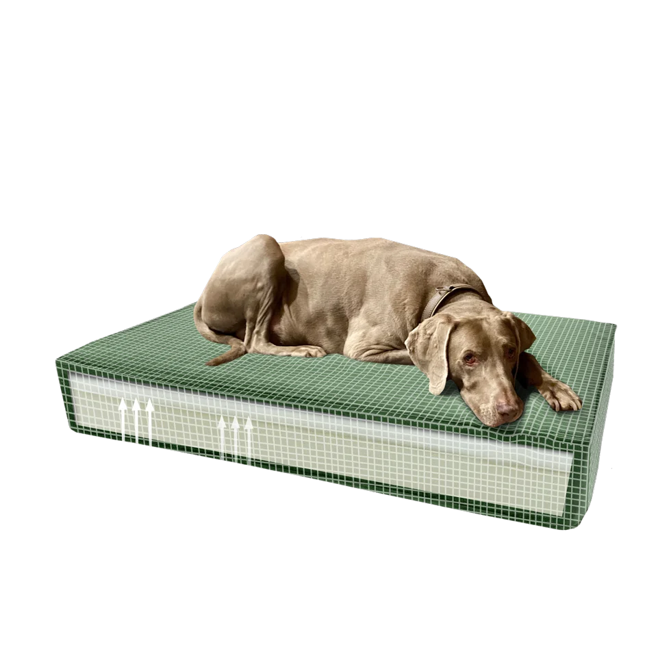 Cuscino ortopedico per cani con memory foam verde S, 45 x 55 x 12 cm – Cuscino ortopedico Madison in velluto - immagine 4