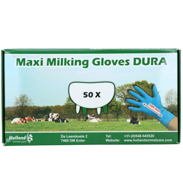 Guanti da mungitura extra spessi e lunghi, taglia XXL (10), 50 pezzi – Hofman Animal Care Maxi Milking Gloves DURA
