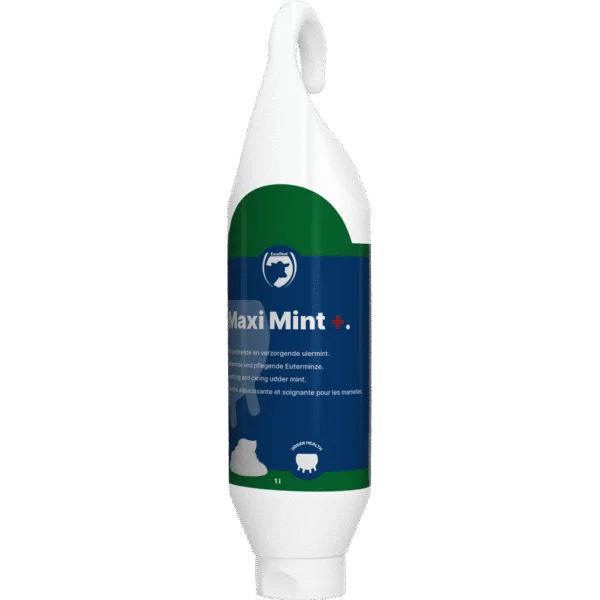 Gel per mammelle all'olio di menta piperita, tubo da appoggio e appendibile da 1 l – Excellent Maxi Mint+