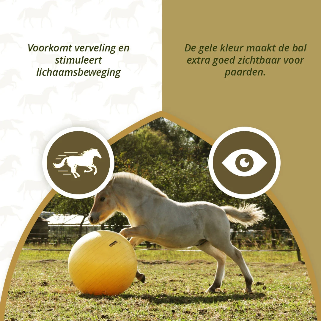 Palla da gioco per cavalli gialla, 75 cm – Maximus Power Play Ball - immagine 5