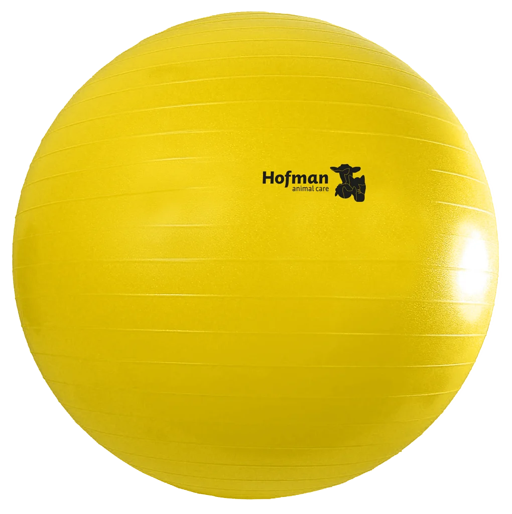 Palla gioco per cavalli gialla, 100 cm – Maximus Power Play Ball - immagine 2