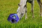 Cubo gioco per cavalli con apertura per snack da 37 mm, blu – Maximus Feed & Play Cube - immagine 3