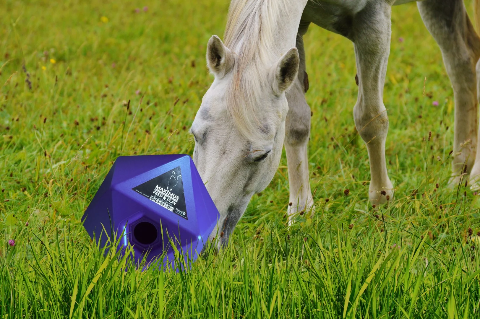 Cubo gioco per cavalli con apertura per snack da 37 mm, blu – Maximus Feed & Play Cube - immagine 3