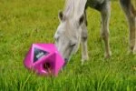 Cubo portamangime per cavalli rosa, apertura per snack da 37 mm – Maximus Feed & Play Cube - immagine 3