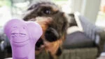Osso da masticare in gomma al profumo di lavanda – Moodies El Tranquilo - immagine 4