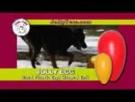 Uovo gioco per cani in plastica, viola, 30 cm – Jolly Pets Egg - immagine 4