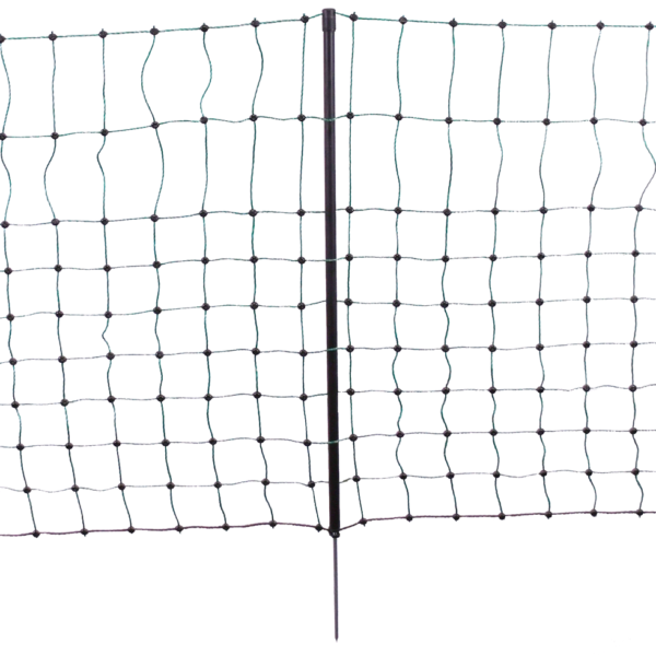 Rete per conigli con punto singolo, altezza 65 cm, 12 m