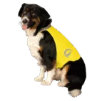 Gilet di sicurezza per cani con dettagli riflettenti e chiusura in velcro, giallo, taglia S – Nightwalk Safety Vest - immagine 3