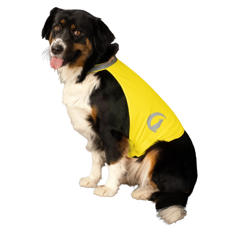 Gilet di sicurezza per cani con dettagli riflettenti e chiusura in velcro, giallo, taglia S – Nightwalk Safety Vest - immagine 3